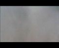 la legende de zu-avi_1000_130.jpg